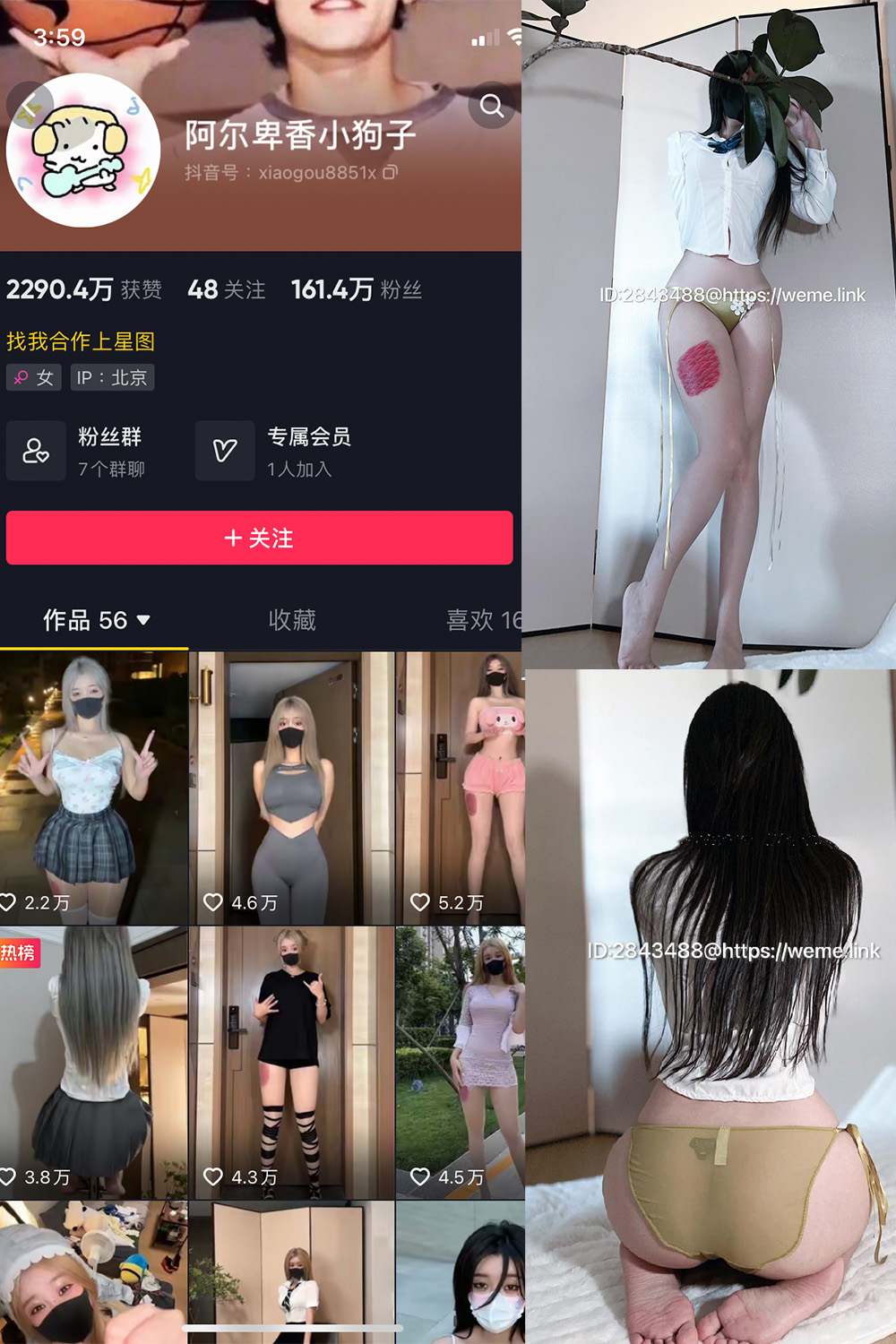 抖音 阿尔卑香小狗子 微密圈  NO.047期 【39P】最新至：2024.6.10-吃口软饭