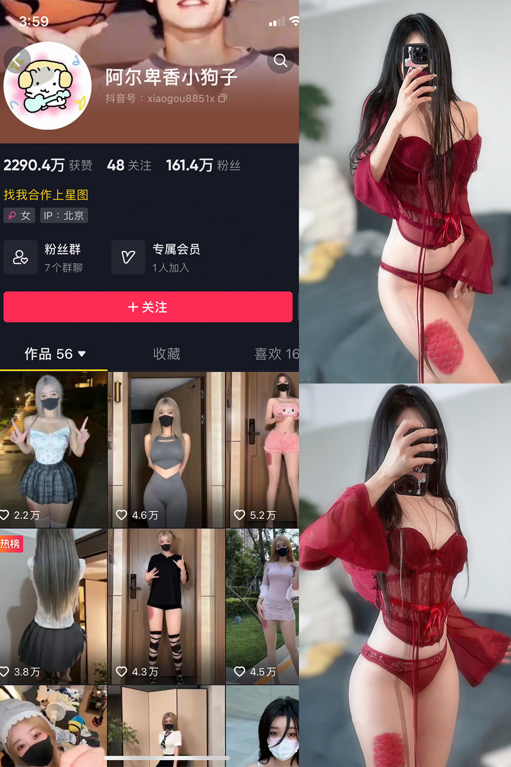 抖音 阿尔卑香小狗子 微密圈  NO.056期 【10P2V】最新至：2024.8.25-吃口软饭